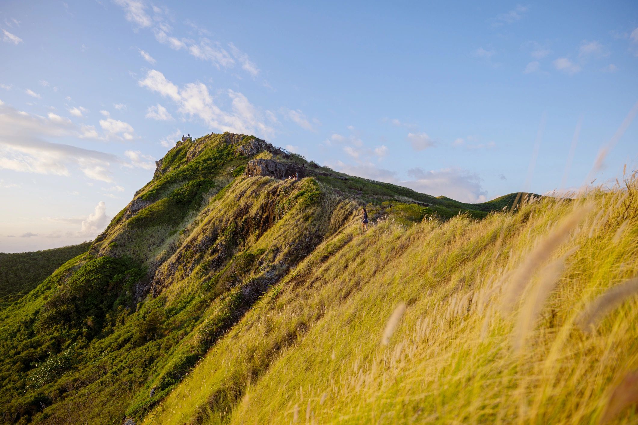 Hiker on a sunlit ridge trail