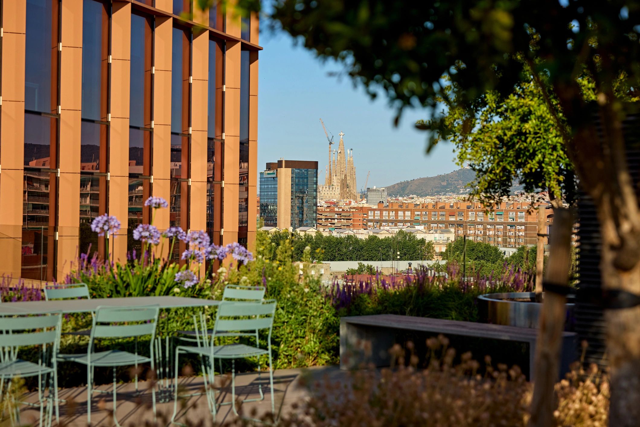 Rooftop garden overlooking Barcelona
